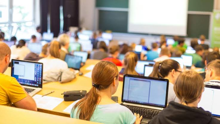 Study pathway options in New Zealand